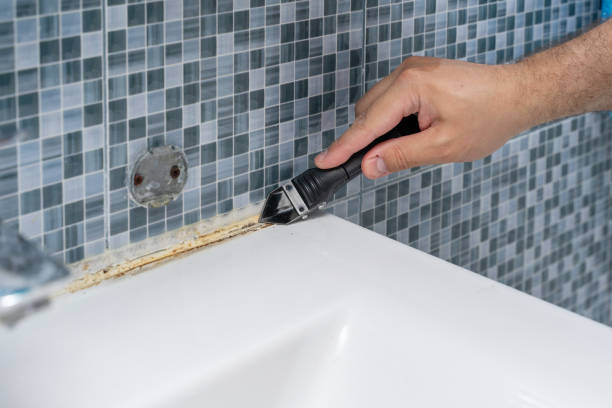 Certified Mold Removal in Lone Tree, CO
